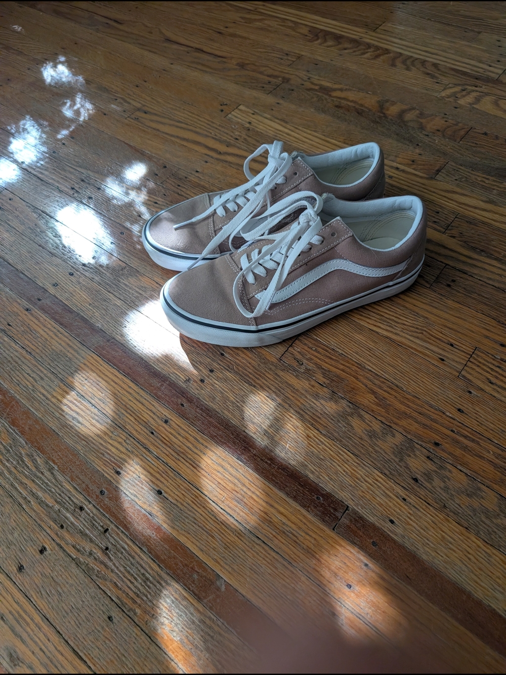 Vans Old Skool Sneakers